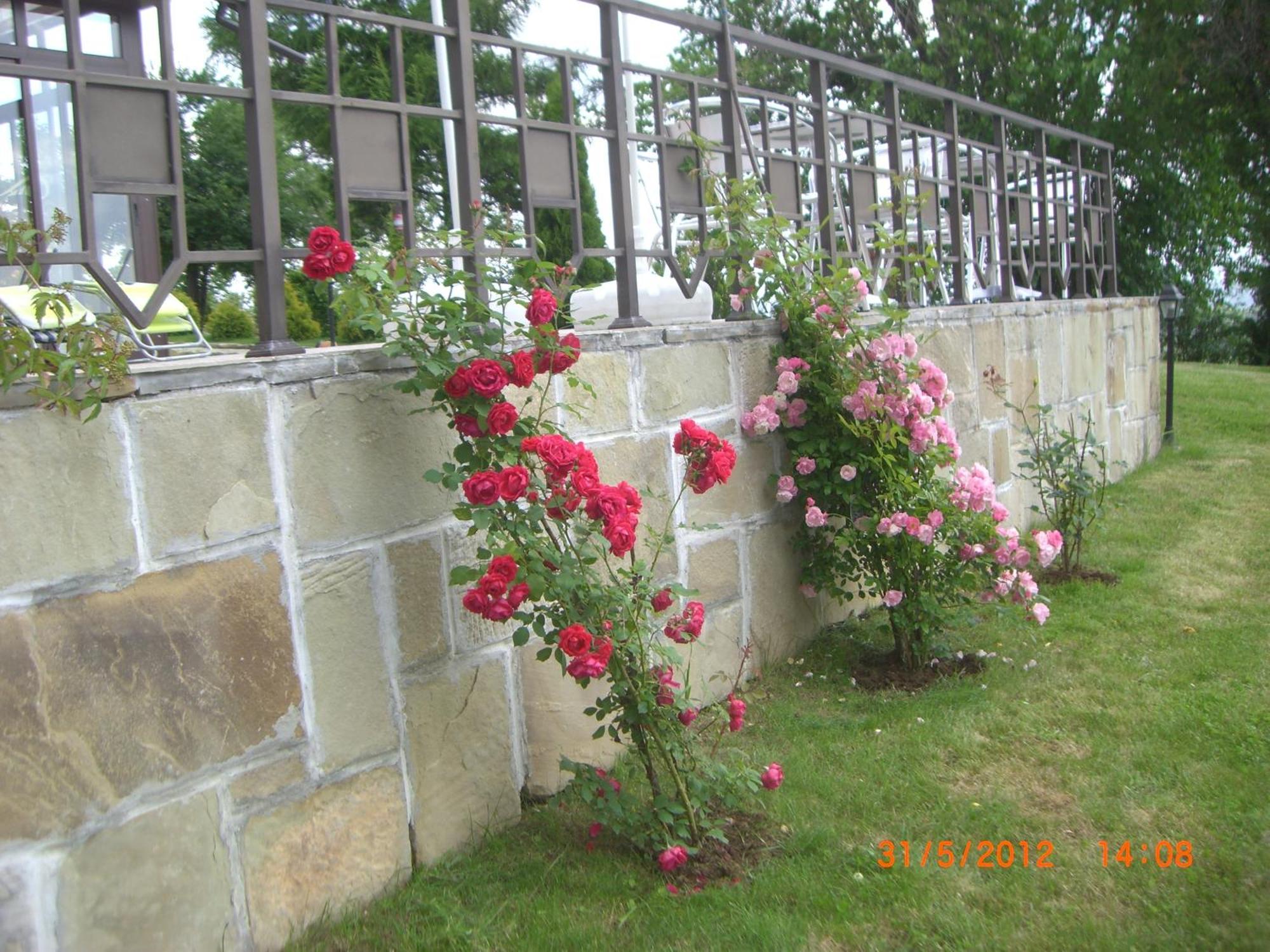 Park Hotel Arbanassi Exterior foto